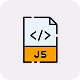 JavaScript